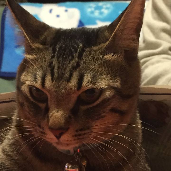 C463e9fd fff6 4a1c 83e2 856bb8374e85