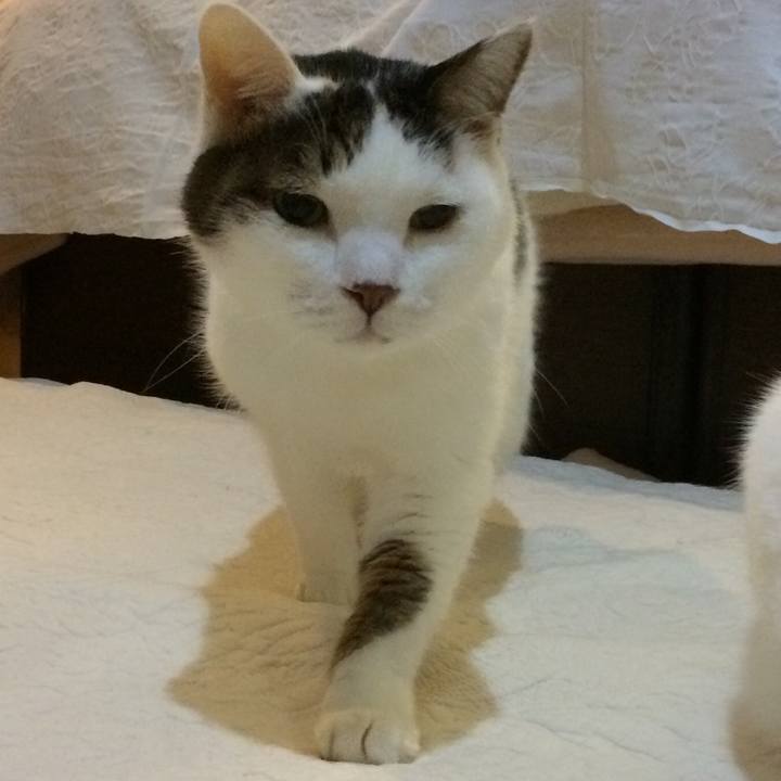 C463edc9 e590 4565 a445 a171847e6c13