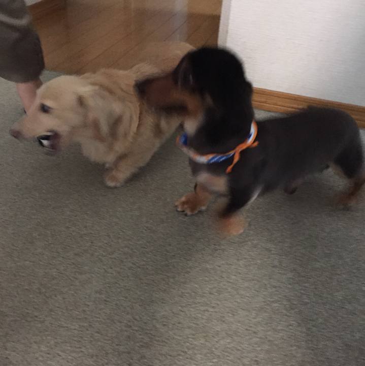 C4643feb 6895 4db5 bba1 fc7d2b842b20