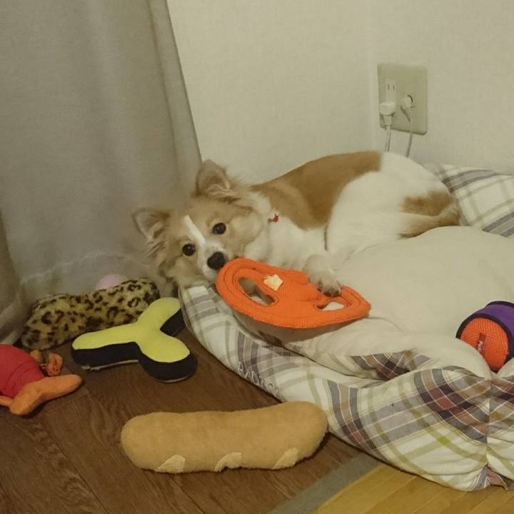 C464ac08 6a75 4f3a bdbf 69b541710b12