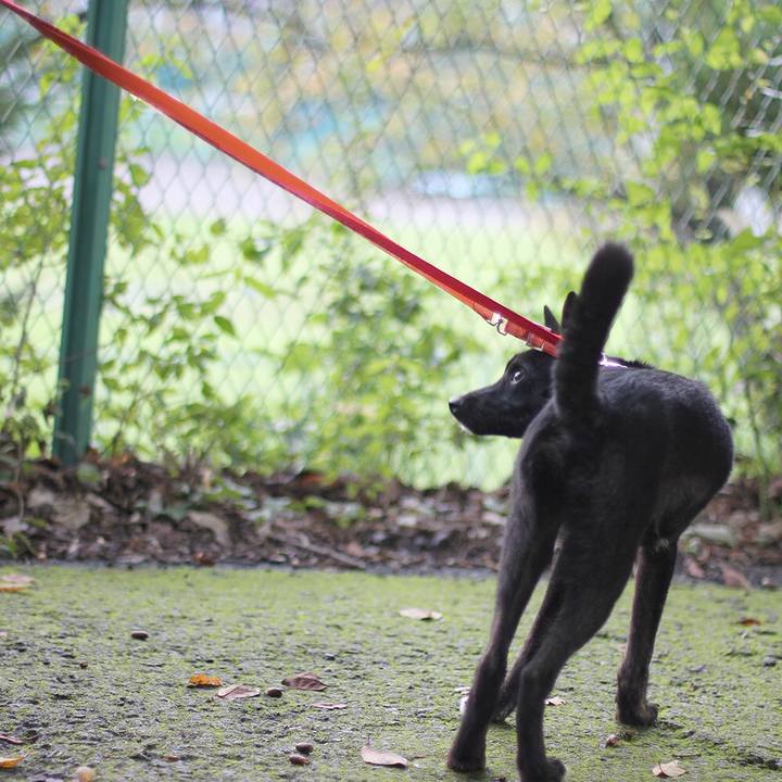 C464bee7 fa80 4334 840d 42d773258ceb