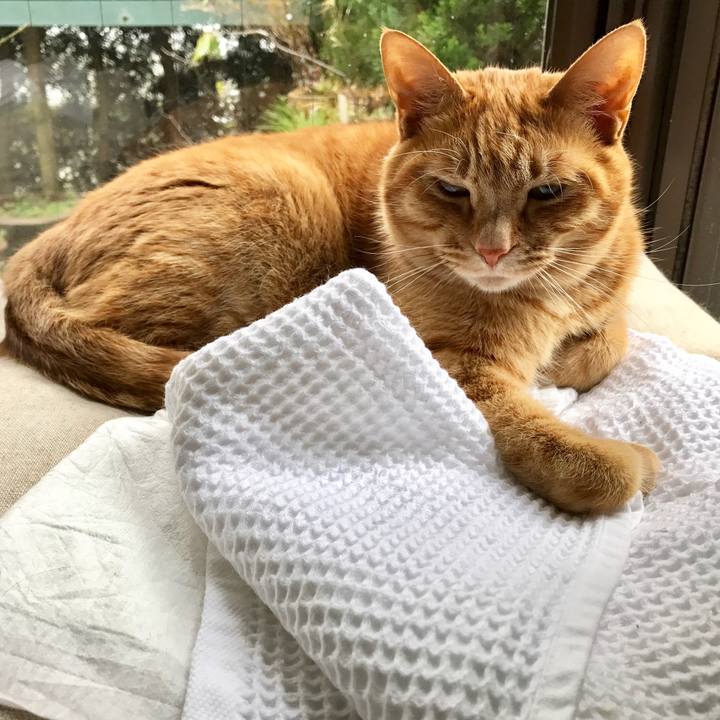 C464ca0f d01b 4fbc 8641 1c2d48d8491d