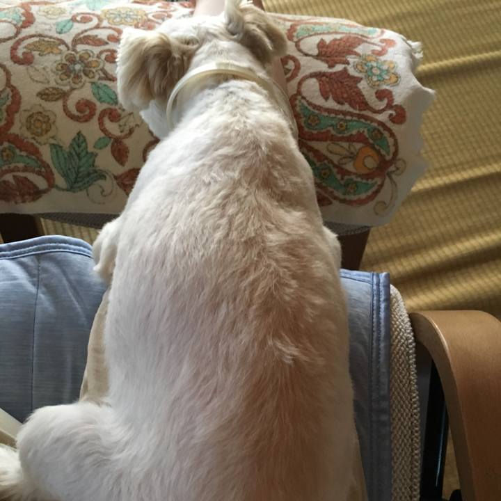 C4653711 5a24 4eb2 839b 5b424c8e19e9