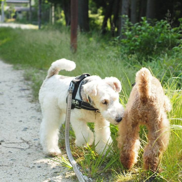 C4656f52 e49f 4ac9 b858 ef0fcdf93a56