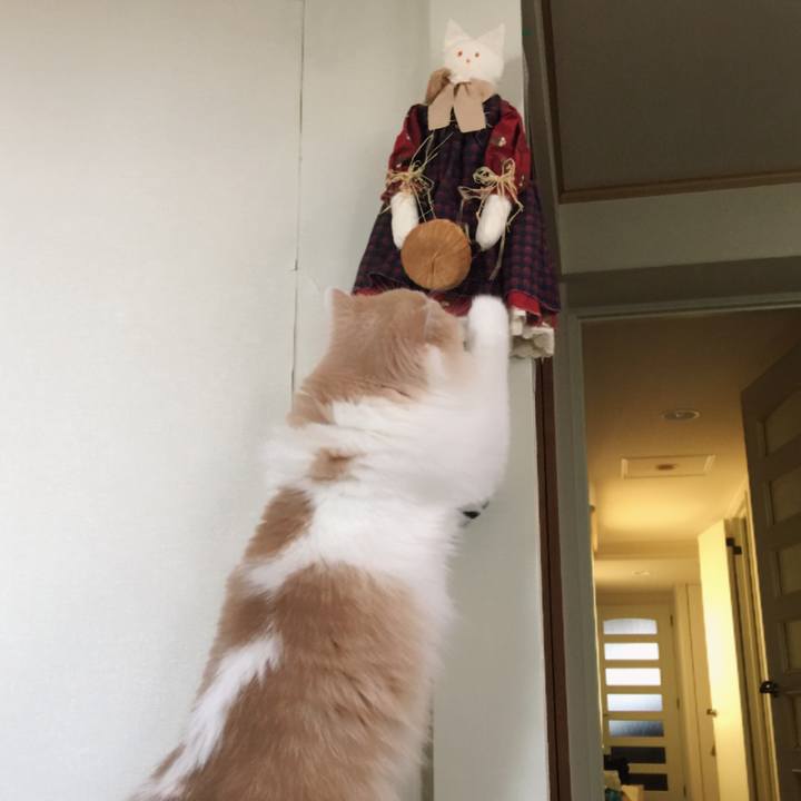 C465bceb 1e75 4efa 8e4c 8fe4c0224cdf