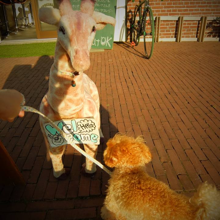 C4666326 8694 461f 8e1b 36ceaa09ab9a