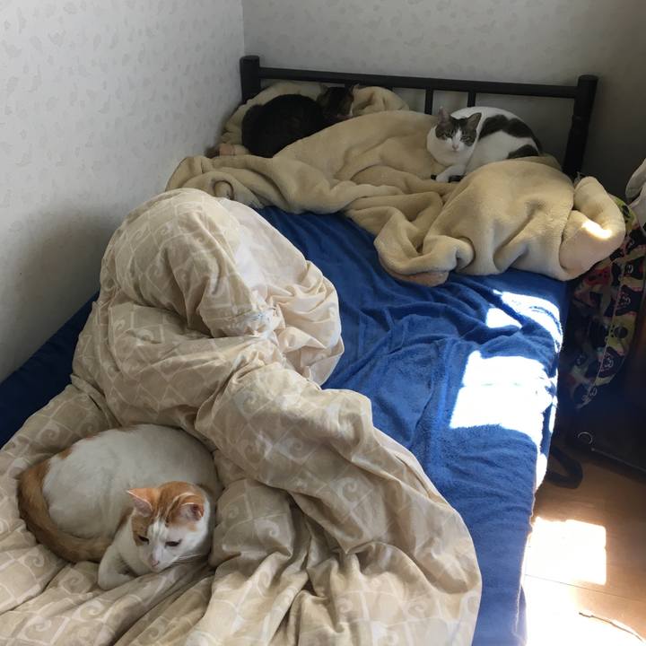 C467209f e5d4 4060 8184 bf35ec33a100