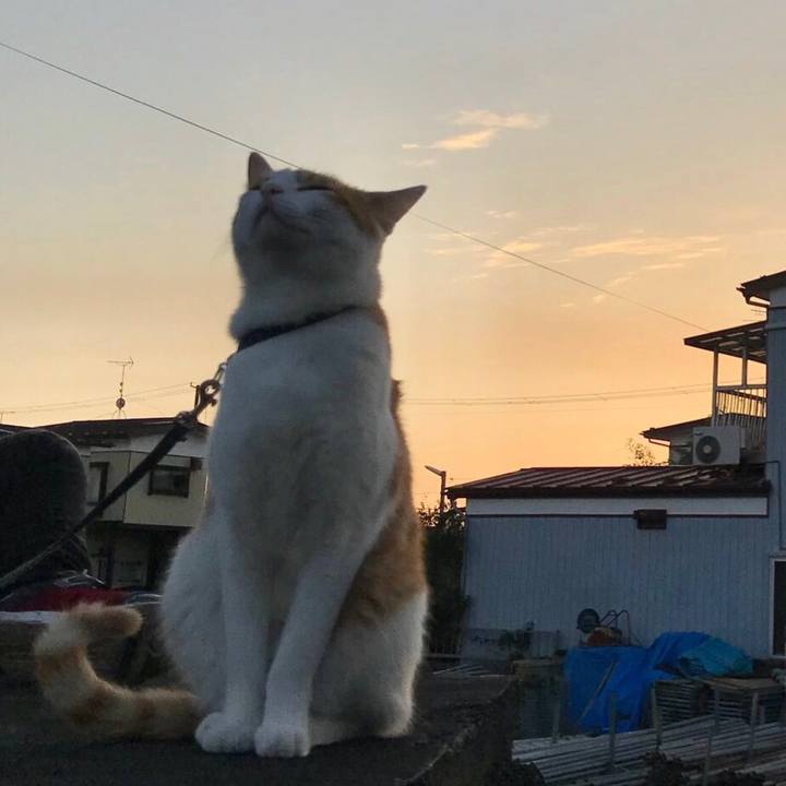 C467f028 6889 400d b61a bd358f67725b