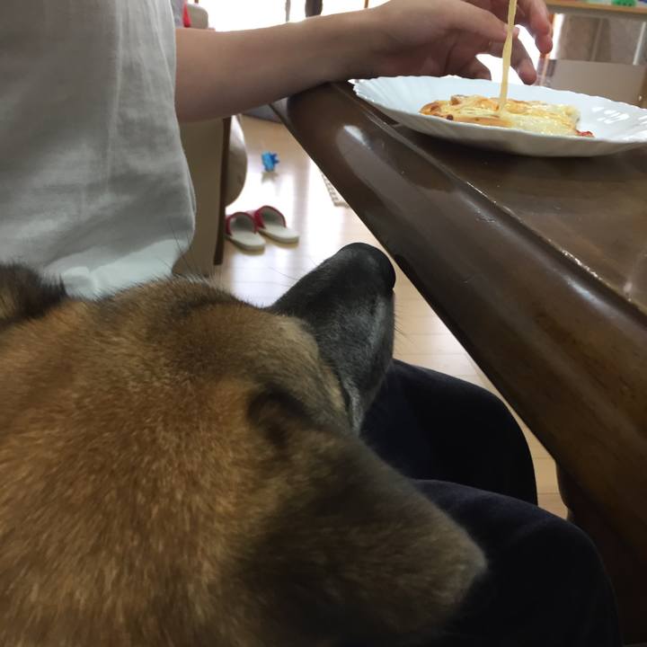 C46873ec 0b12 4dab a731 5f917c8af07f