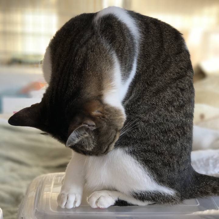 C4694518 59cf 4231 b494 143152421b90