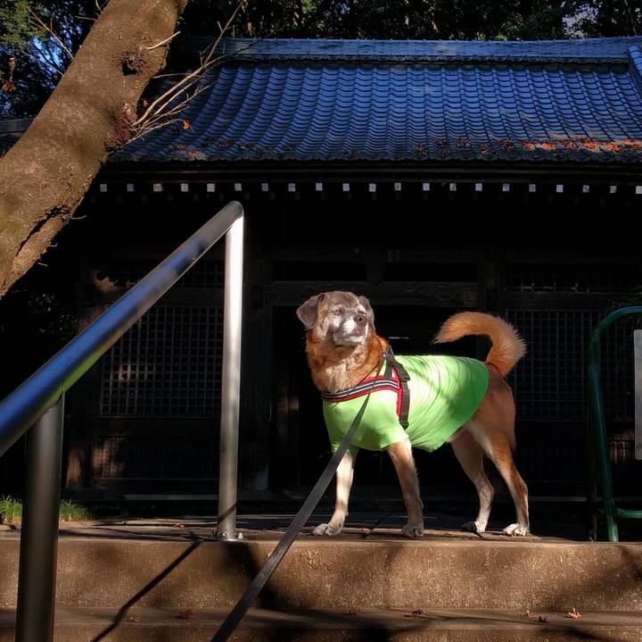 C46a4d1a ef98 4ccc a396 eb094f34f82d