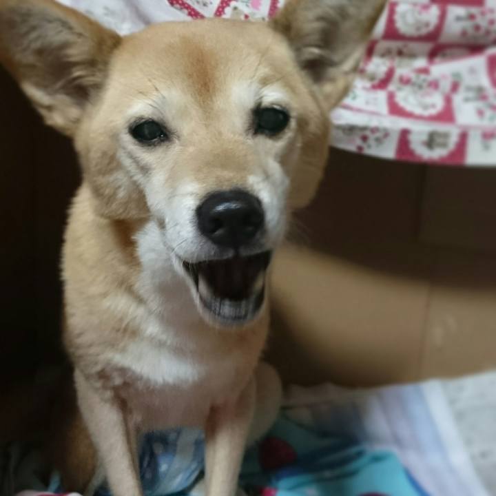 C46a9b71 123e 4137 9a27 eab7345a523c