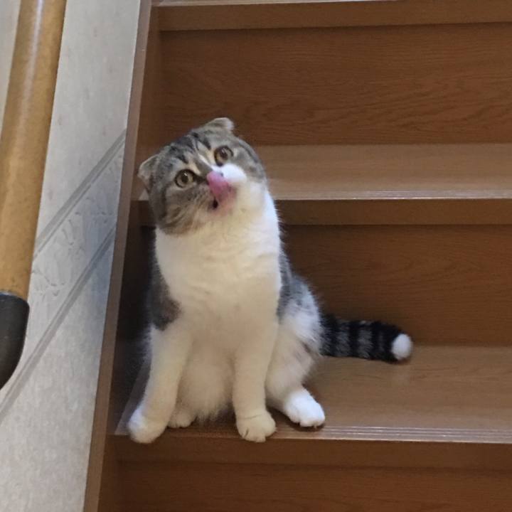 C46b01d1 58e5 4af8 a77d 79ba0797f635