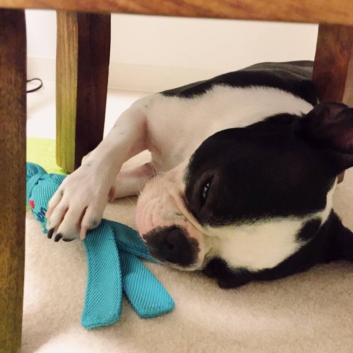 C46b0be3 6b97 48da 88fe 762b84c42e44