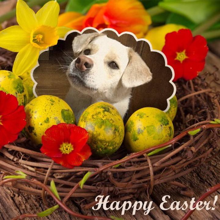 C46b3558 3a2a 4143 9d4e 3d9c660d0faa