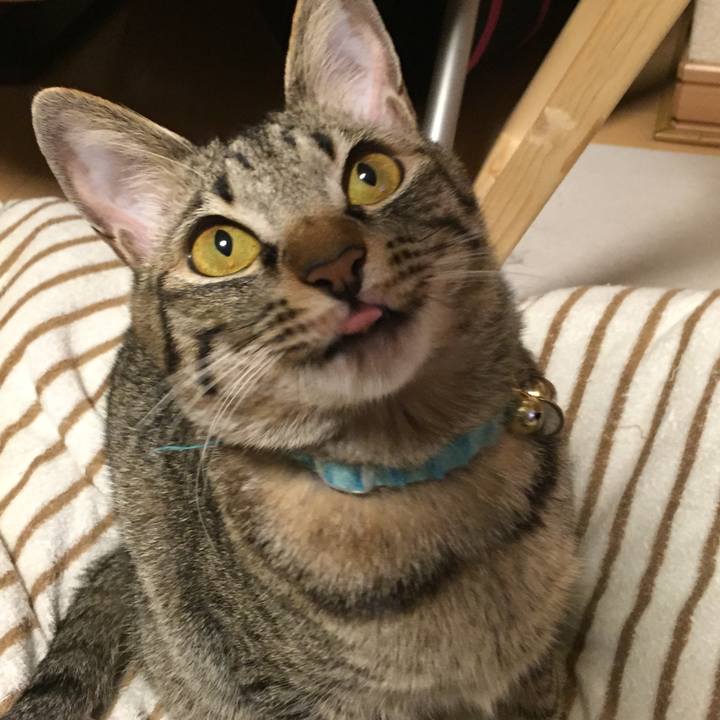 C46b67fe 17d6 4eb3 924f bb9e6e1a7f5f