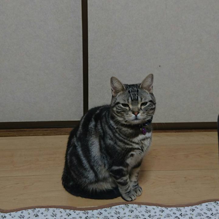 C46b6bad 6a91 4a8a 8bcb 28fb002e8359