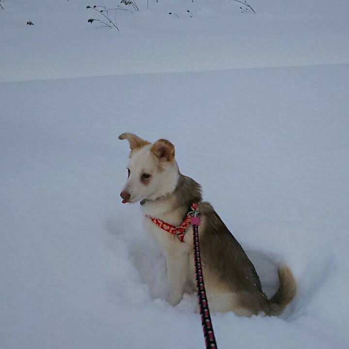 C46bd051 bcd7 4e7d b390 344b0544e27c