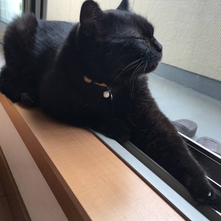 C46c0253 f5b7 4de6 ad9f e52a1ff0c969