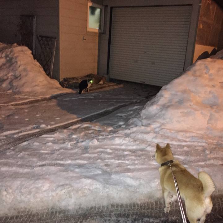 C46d9019 6069 4c33 b35e 8e0547aabd01