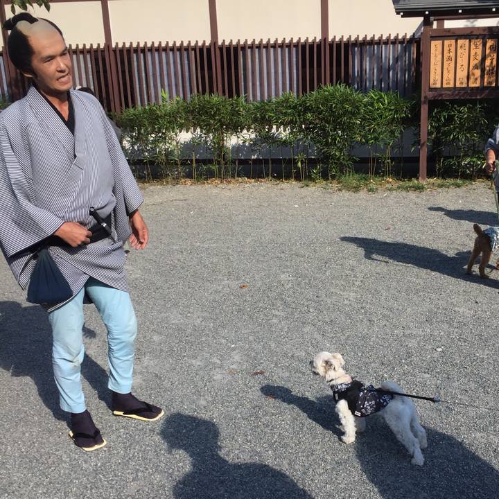 C46e9c94 48b6 4317 bacc cdc0a8fde059