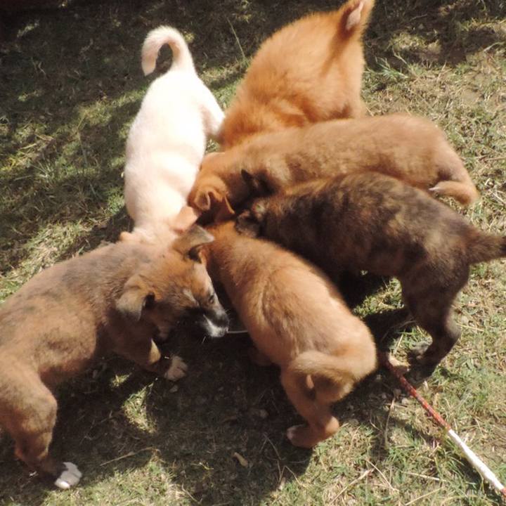 C46ea61a 18b6 47c2 96ec a09d12a70514