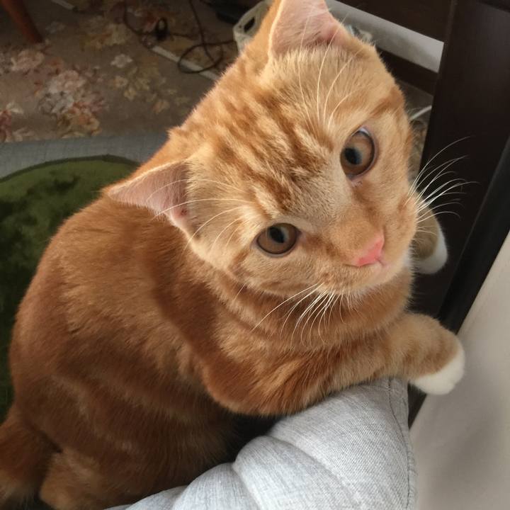 C46f52b2 6c7d 460f 9eff a751381bd309