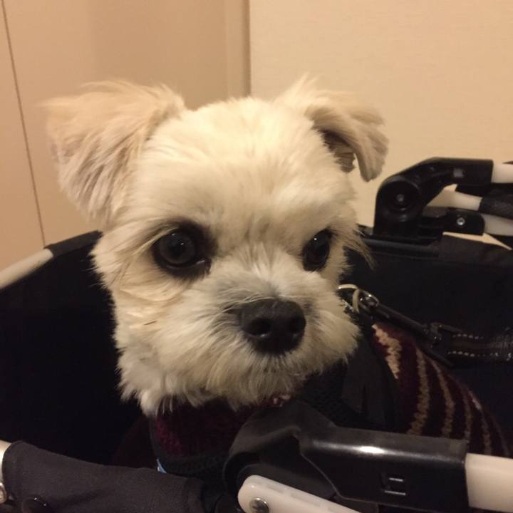 C46f6019 f2da 4381 b01b 997bb3bcc2ef