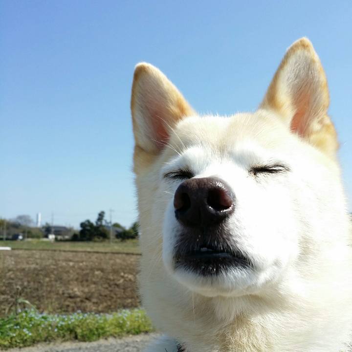 C46f88b4 77e2 41fa 9530 e2d0889edfe3