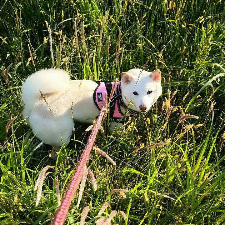 C46fa434 3e7c 45a3 8900 7d2a742bb941