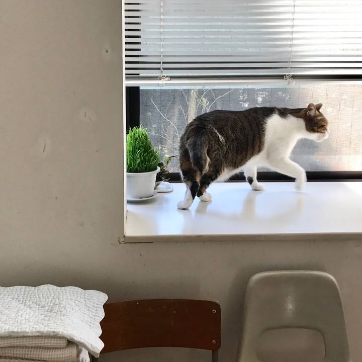 C46fc543 a708 4e47 b9b9 6b6e67851575