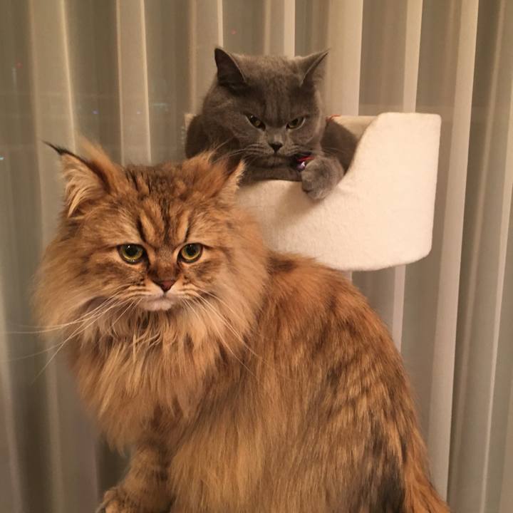 C46fd0ee 28ef 4f20 96cc f36edf8882af