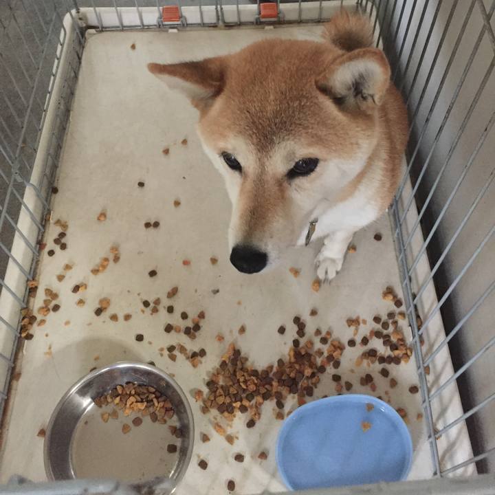 C47083bd 4b6a 4f84 a071 cd40e8b90f81