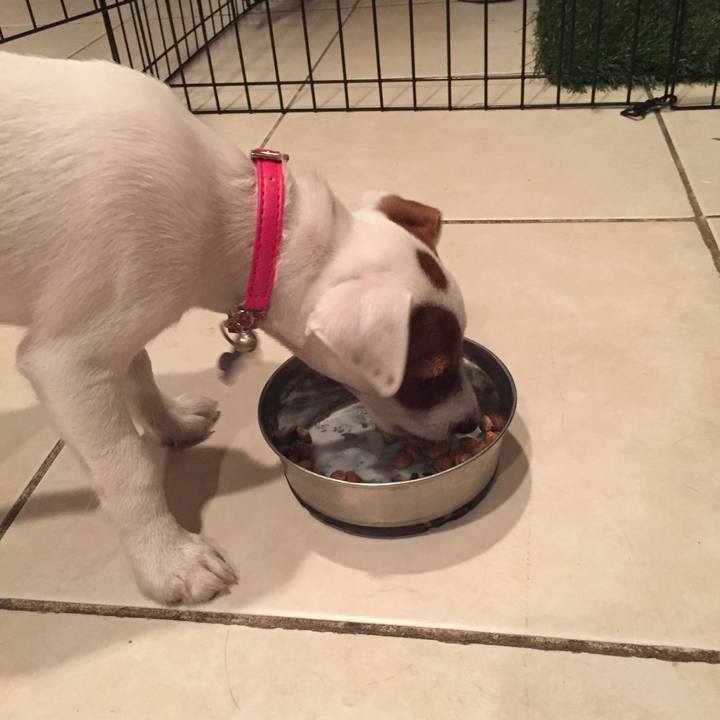 C47091df 116a 4ccd 9ffa 5db038de9776