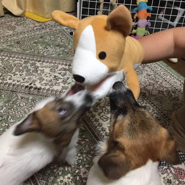 C470dc1a 96bf 490a aaf5 4673785e3439