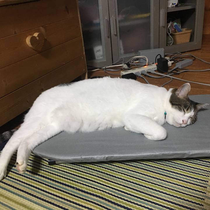 C4716692 dbe2 4b15 b2c4 0c82e4dd91bc