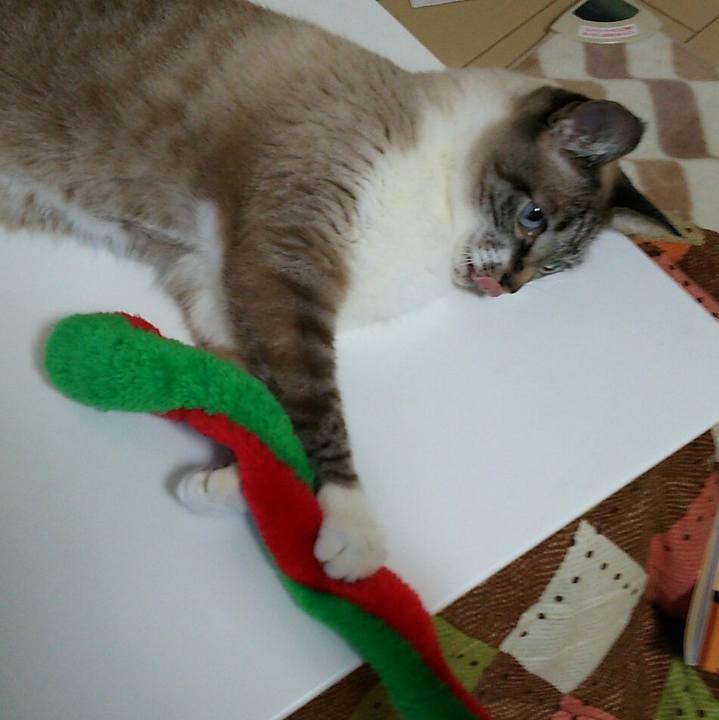 C471e88e e823 4c86 a217 9b19053e983d