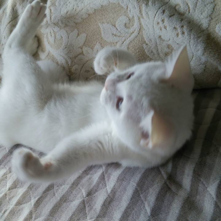 C4728094 c3b6 4ad3 8d47 83e2b27becee