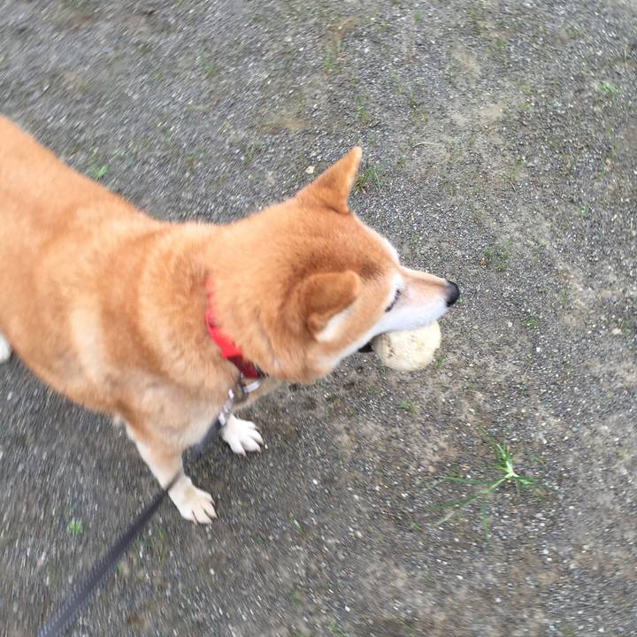 C4730a46 cf58 4b18 818e 8215612ae558