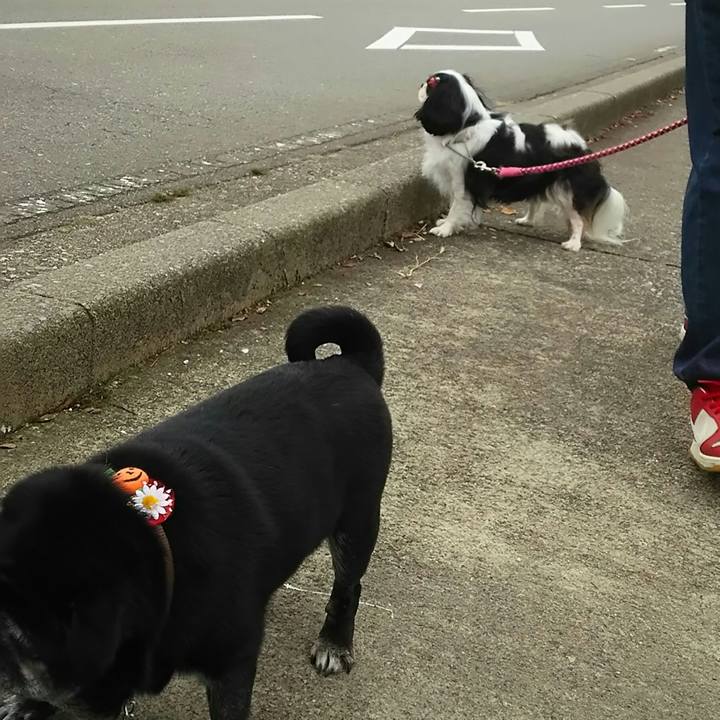 C473a626 38ce 4661 ac8b 09e1ee96dd86