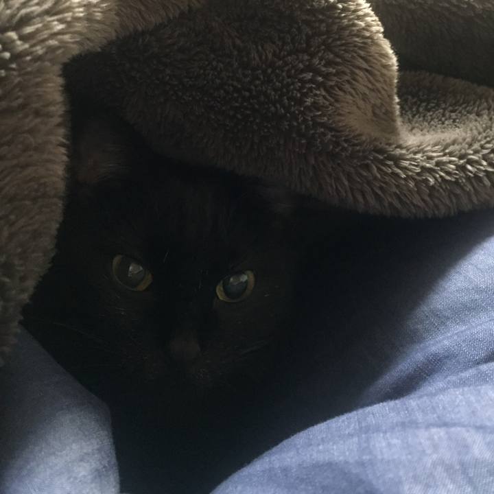 C473e635 4029 448f a259 b6fd907ee44c