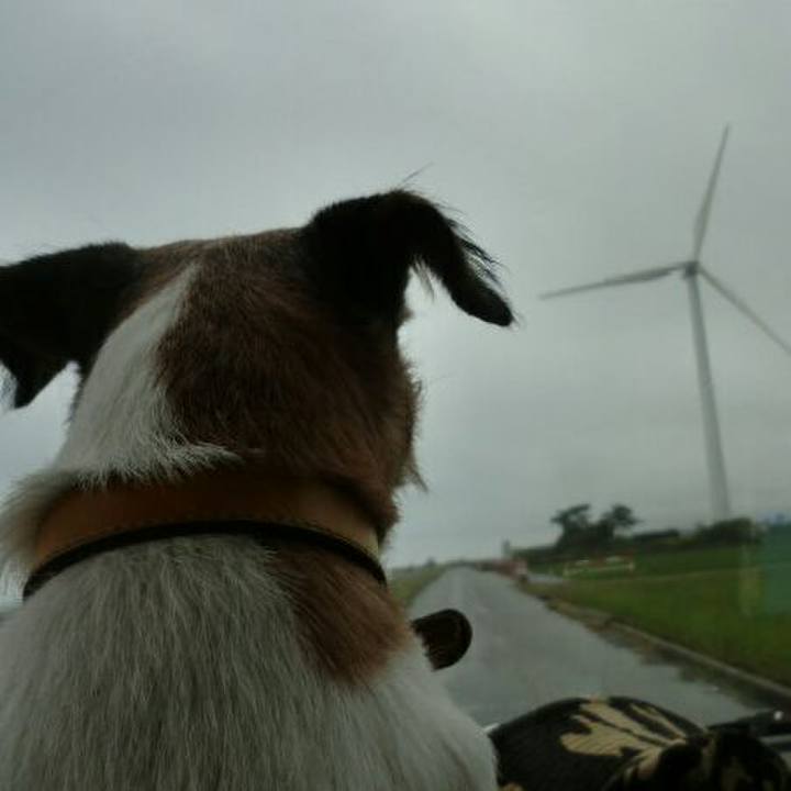 C474174a be66 4977 a839 7842c47cdab3