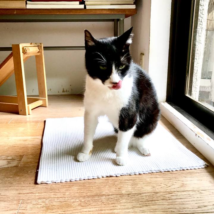 C4742f34 1681 4add 9a0a b254b801281d