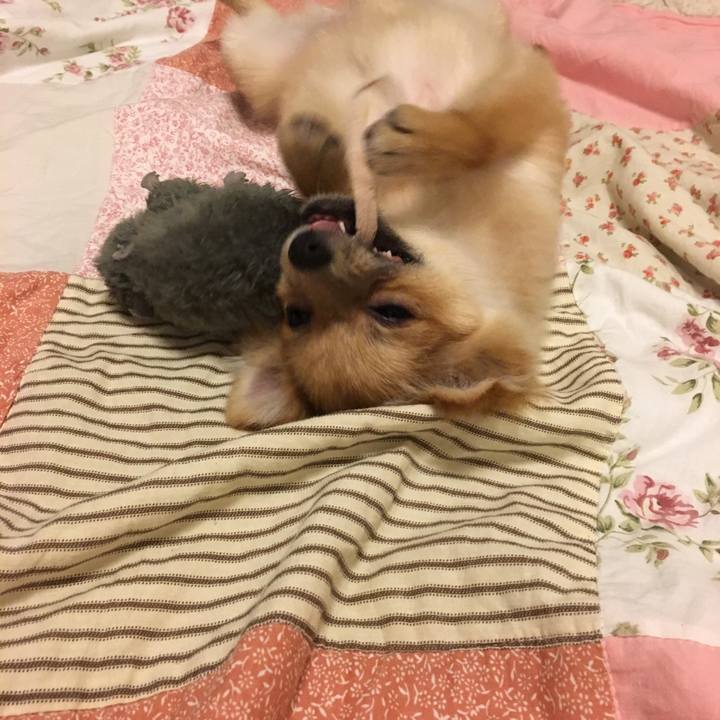 C47512e1 4315 4ec7 bcb4 d59a3e220f43