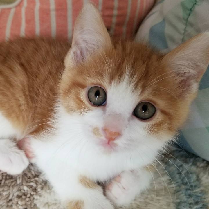 C475658b 8250 4fbf 96cb 3936b67f92e5