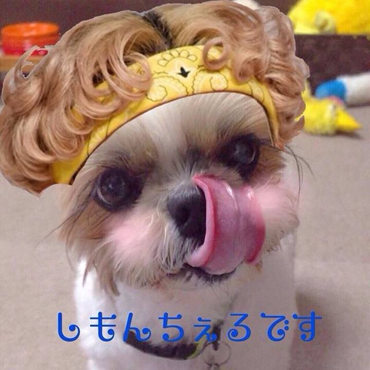 C4757775 6b5a 40c5 887f 80b8cf3408b8