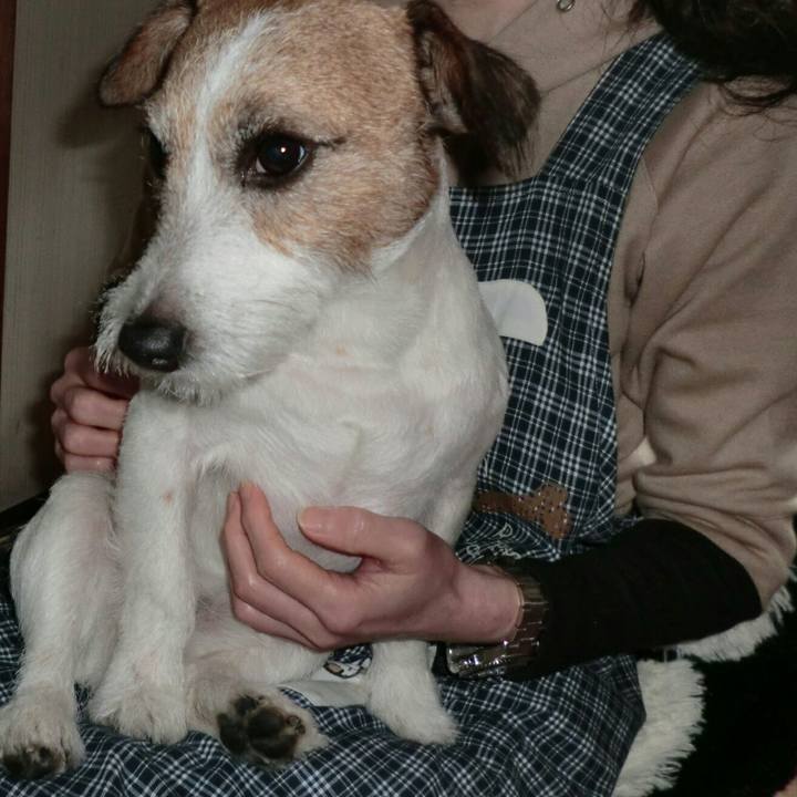 C4764edb 9fa9 492e ad1d 803a392041c7