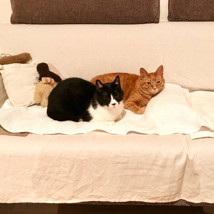 C4765d28 1fe1 406b b039 86692307465c