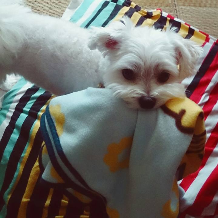 C47665ee 8afe 4575 b04e ca64f821b9a5