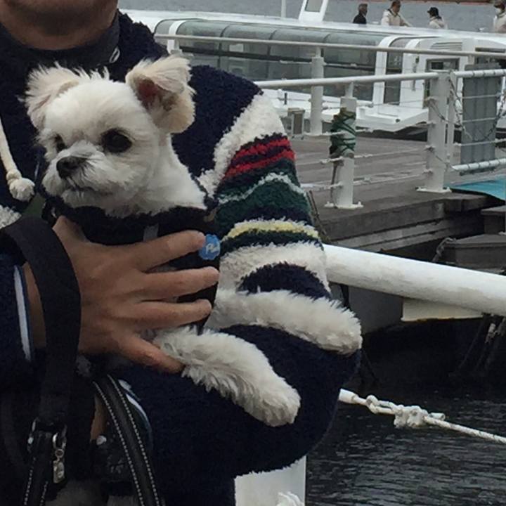 C476e227 7607 430d 928b 5e75a643ac45